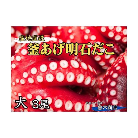 ふるさと納税 釜あげ明石だこ 大 3尾 兵庫県明石市