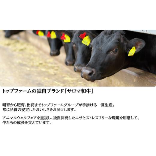 ふるさと納税 北海道 佐呂間町 サロマ和牛 ヒレ 半頭分 ステーキカット 約200g×15枚前後 北海道 オホーツク 佐呂間町 肉 牛肉 和牛 ヒレ肉…