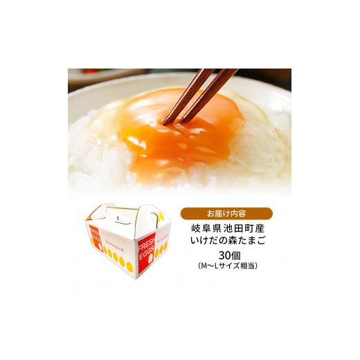 ふるさと納税 岐阜県 池田町 卵 わずか4%の希少な純国産鶏 いけだの森たまご 30個 こだわり おこめのたまご 玉子 鶏卵 生卵 産地直送 冷蔵配…