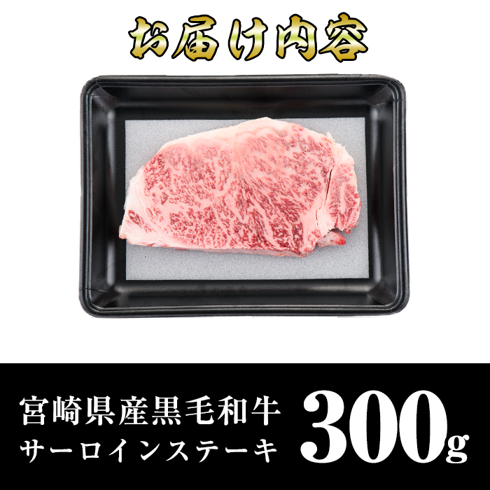 宮崎県産黒毛和牛サーロインステーキ(300g)