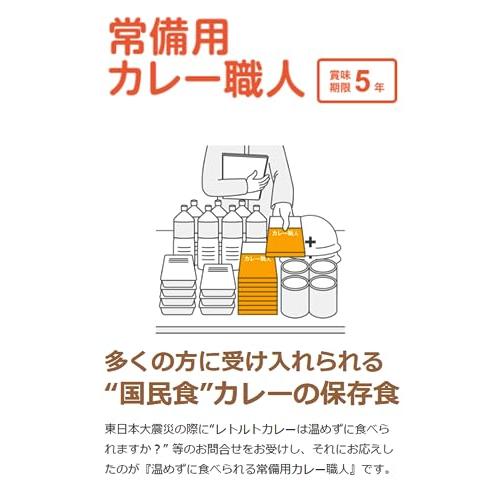 温めずに食べられるカレー職人 中辛 170g×10個(常温保存 非常食 備蓄 ローリングストック レトルト レンジ対応)