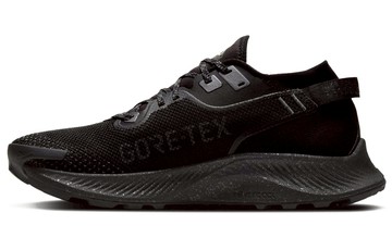 PEGASUS TRAIL 2 GTX BLACK METALLIC DARK GREY