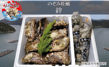 のぞみ 牡蠣  2024年先行予約 ［絆]  殻付き 約30個（ 三年牡蠣 ） 剥き身 500g×2パック（ 一年牡蠣 ） ナイフ 、 簡単レシピ 付き