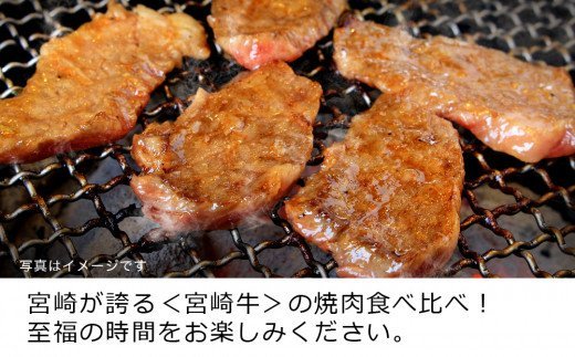 宮崎牛3種食べ比べ焼肉セット450g [G7410]