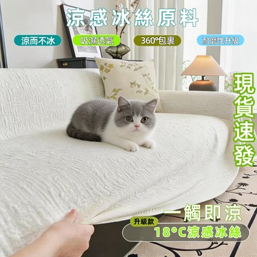 【現貨秒發】沙發巾蓋布 防貓抓沙發巾 沙發巾 冰絲沙發巾 沙發蓋布 涼感沙發布 沙發墊布 冰絲沙發巾 防滑全包沙發套罩