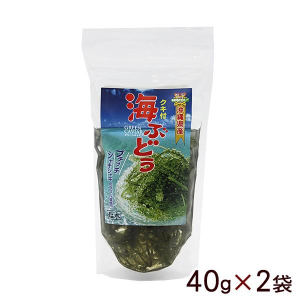 海ぶどう 塩水漬け 茎付き 40g×2袋 （メール便）　 平良商店