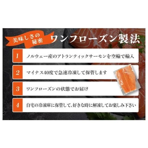 ふるさと納税 大阪府 泉佐野市 北国からの贈り物 豪華 サーモン 定期便 全6回 総量 6kg以上 