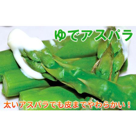 ふるさと納税 アスパラ専門農家の特選グリーンアスパラ1kg（M）アスパラガス 原農園 あすぱら 野菜 北海道 上富良野町 .. 北海道上富良野町