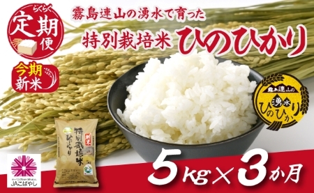 霧島連山の湧水ヒノヒカリ特別栽培米（定期便 国産 米 新米 令和５年新米 精米済み 送料無料）