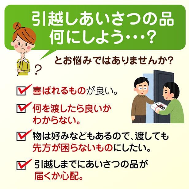 米 ギフト 引っ越し 挨拶 3袋セット 新潟産 コシヒカリ3合 真空パック