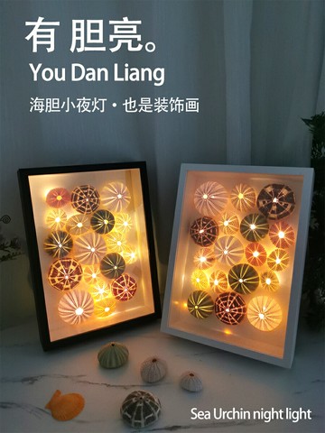 自制海膽貝殼手工diy立體標本相框創意小夜燈氛圍燈裝飾畫高級感 雙11全館免運