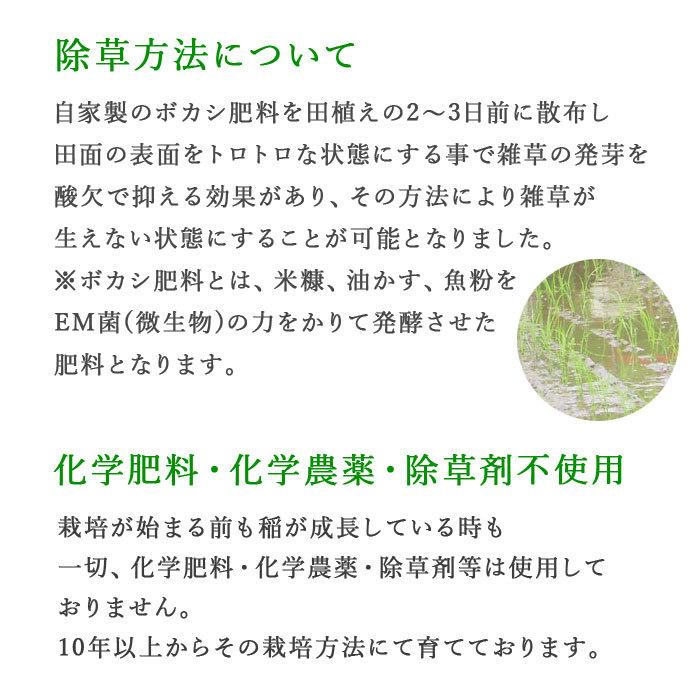 令和5年産 特別栽培米 森のくまさん 5kg 選べる精米歩合 お米 白米 玄米 5分づき 7分づき 熊本県産 農薬不使用 化学肥料不使用 