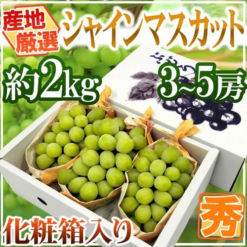 ”シャインマスカット” 秀品 3〜5房 約2kg 化粧箱 産地厳選 送料無料