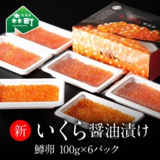 新いくら醤油漬け 100g×6パック(鱒卵)