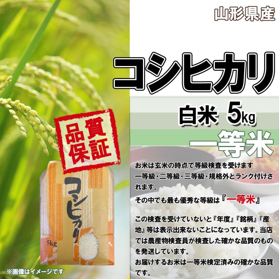 令和5年産 新米 送料無料 山形県産 コシヒカリ 白米 5kg 安全で確かなものを食卓へ 5キロ 五キロ お米 おこめ