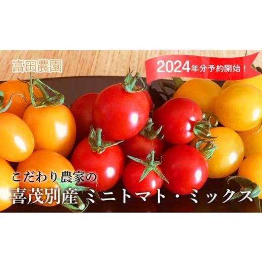 ふるさと納税 北海道 喜茂別町 2024年受付開始！こだわり農家の 喜茂別産 ミニトマト・ミックス