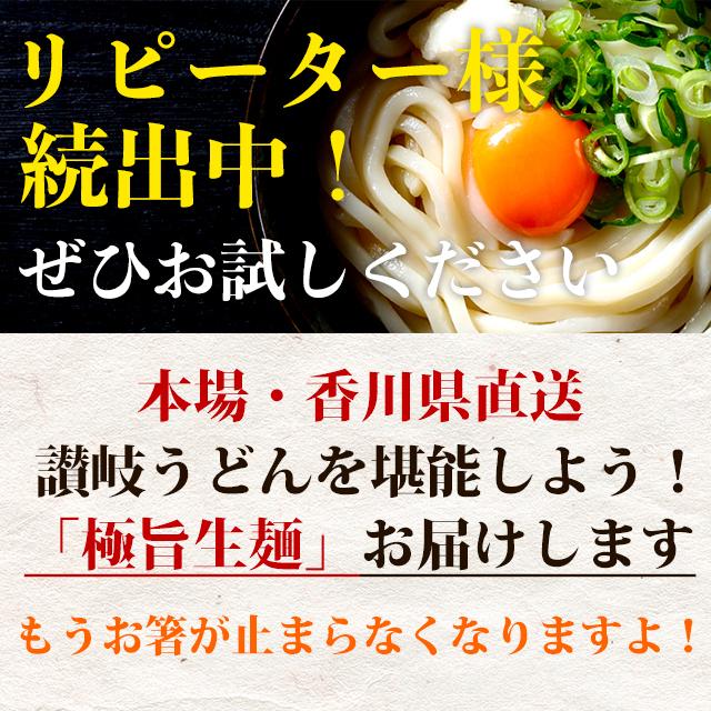 讃岐うどん 9食 セット 1000円 ポッキリ 生麺 産直 グルメ ご当地 お取り寄せ 食品 得トクセール お試しセット ポイント消化 送料無料