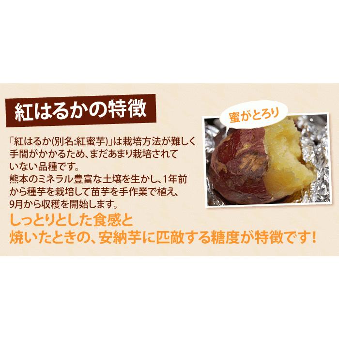 紅はるか 訳あり 箱込5kg 内容量4kg 補償分500g 送料無料 生芋 さつまいも  熊本県産 べにはるか サツマイモ  焼き芋に 芋 いも