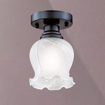 E27 單吸頂燈 B20-13-64879