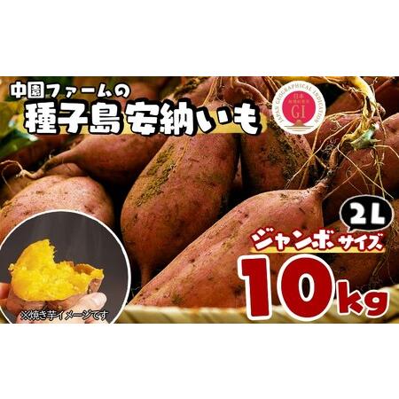 ふるさと納税 中園ファームの種子島安納いも（生いも）２Lサイズ　10ｋｇ　450pt　NFN535 鹿児島県西之表市