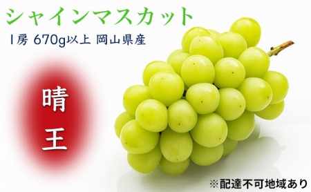 ぶどう 2024年 先行予約 シャイン マスカット 晴王 1房（1房670g以上）化粧箱入り マスカット ブドウ 葡萄  岡山県産 国産 フルーツ 果物 ギフト