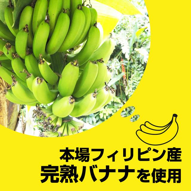 バナナチップス バナナチップ 500g 送料無料 ドライフルーツ ドライ フィリピン バナナ お菓子 おやつ ココナッツオイル paypay Tポイント消化