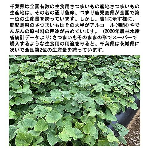 さつまいも 紅はるか 紅東 又はシルクスイート ５KG サツマイモ 焼き芋に 千葉茨城県産地厳選 A品 美味しい やきいもに 食物繊維 美容 スイーツ