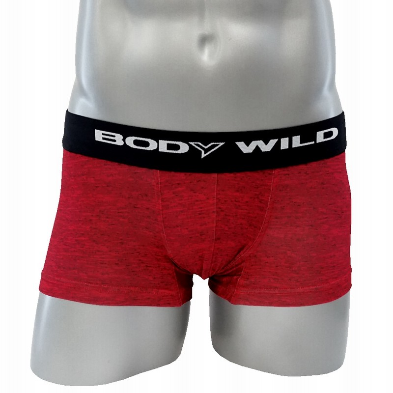 Gunze グンゼ Body Wild ボディワイルド 直営店限定 ローライズボクサー 前とじ メンズ 1b L 通販 Lineポイント最大get Lineショッピング