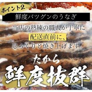 ふるさと納税 国産うなぎの蒲焼・白焼き豪華食べ比べセット（蒲焼2尾・白焼き2尾 計4尾） 愛知県名古屋市