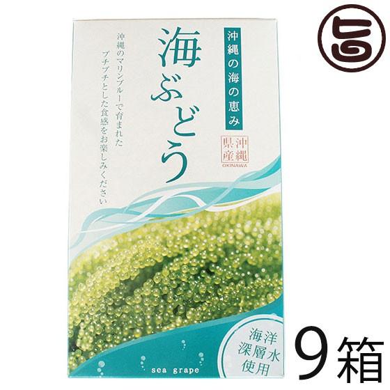 海ぶどう 120g×9箱 グローアップコーポレーションF 海洋深層水使用 海藻 うみぶどう 沖縄 土産 定番 人気