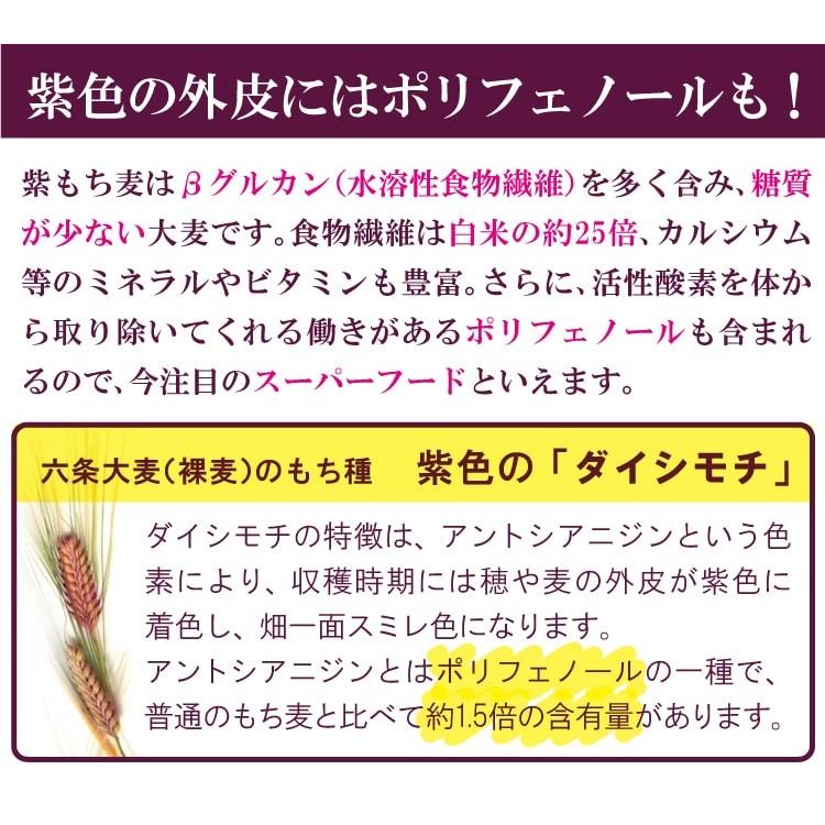 紫もち麦 2kg 500g×4 国産 ダイシモチ 食物繊維 ポリフェノール β-グルカン 自然食品 大麦 押し麦