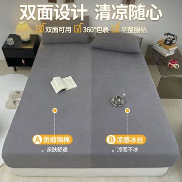 抗菌防螨冰絲全包床罩母嬰級雙面床笠布藝宿舍家用保護罩可批發