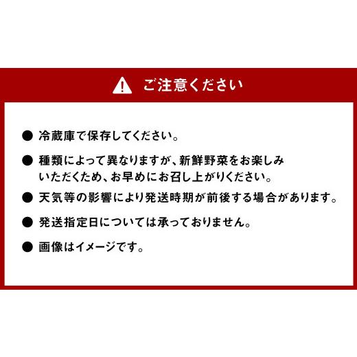 ふるさと納税 福岡県 大刀洗町 レピスリィ☆ベジBOX 季節のお野菜 3〜6種類 詰め合わせ