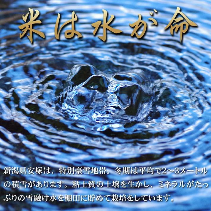 新米 令和5年 米 お米 10kg  コシヒカリ 新潟県安塚産棚田米 コシヒカリ 玄米10kg 精米無料｜ 新潟県産 コシヒカリ 米 おこめ お米 10kg 送料無料 ｜
