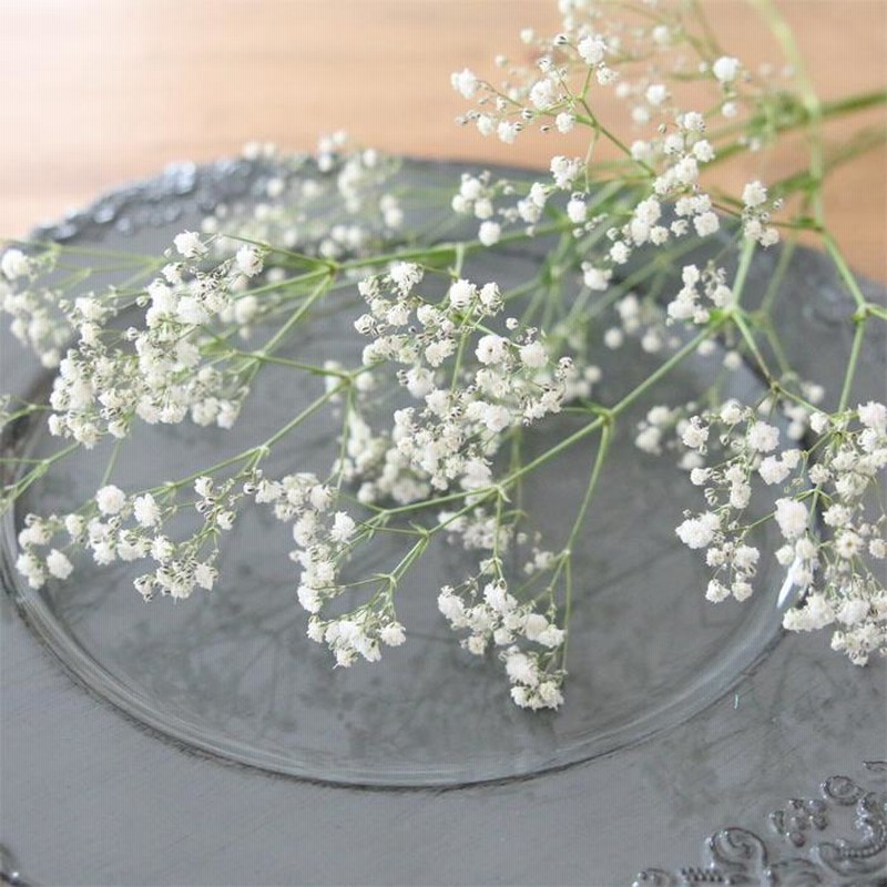 かすみ草 5本 【 国産 小分け ドライフラワーまたは半ドライ 花
