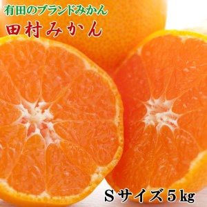 田村みかん約5kg（Sサイズ・秀品） ※2023年11月下旬～12月下旬頃に順次発送予定