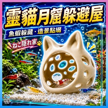 放風水族【靈貓月窟躲避屋】魚蝦躲避屋 米蝦屋 小魚躲藏屋 魚缸造景 水族造景 吸盤壁掛 PETG裝飾 魚缸裝飾 水草缸用