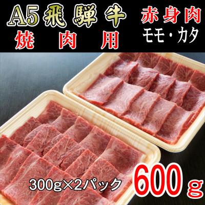 ふるさと納税 揖斐川町 「A5等級」飛騨牛赤身肉焼肉用600g　モモ又はカタ肉