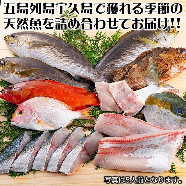 五島列島天然魚の刺身 海の宝セット3人前