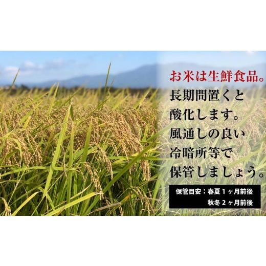 ふるさと納税 秋田県 大仙市 秋田県産おばこの匠あきたこまち　10kg （2kg×5袋）玄米