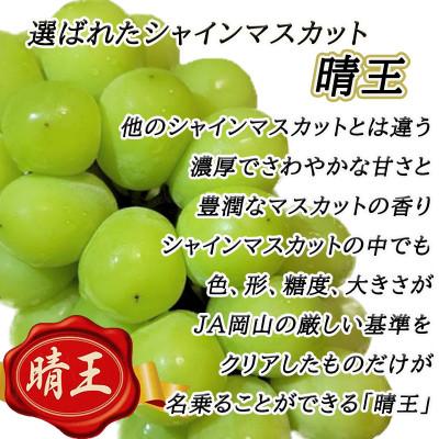 ふるさと納税 浅口市 岡山名産シャインマスカット2kg!2024年9月上旬以降順次発送　ギフトにも!