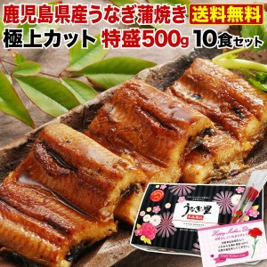 ポイント5％ 母の日  プレゼント グルメ ギフト うなぎ 蒲焼き 国内産 送料無料 極上カット蒲焼き 50g x 10食セット 真空パック クール