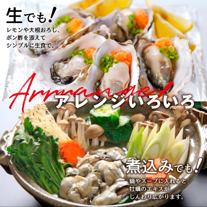 冷凍 ハーフシェル 真牡蠣(生食可) 1袋 10個 九十九島産［プロトン冷凍 グレーズ処理 UV殺菌済］マルモ水産