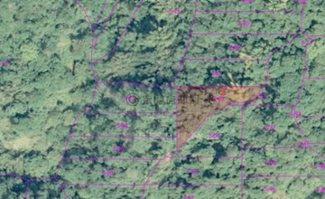 台中便宜農地50萬申請農保可用尚有多筆可選5｜台中市和平區埋伏坪社段