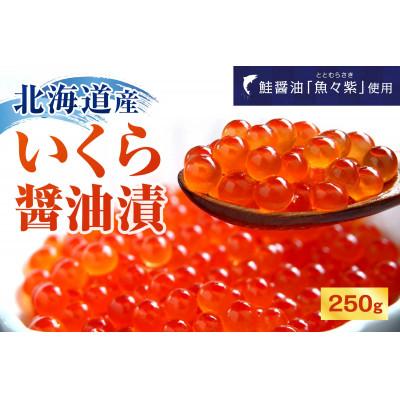 ふるさと納税 えりも町 北海道産いくら醤油漬250g