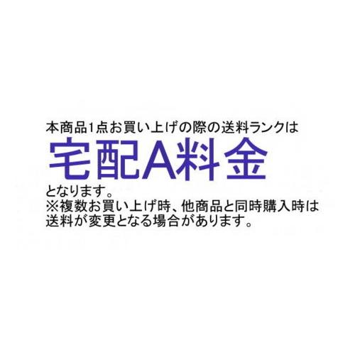 縦型厚紙封筒 ライトンB5×50枚 パック 送料無料