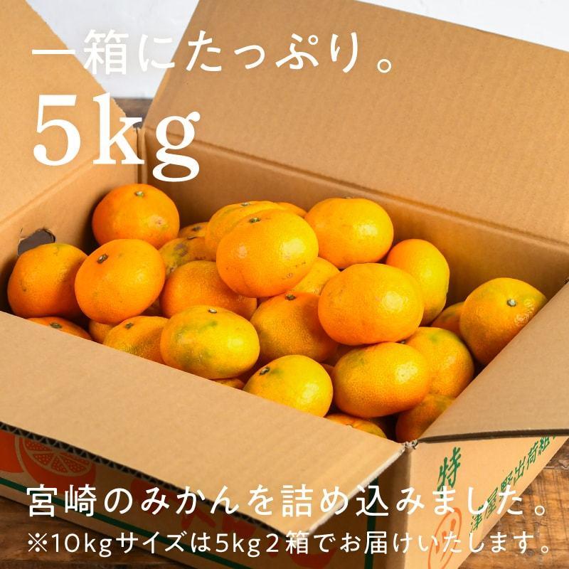 みかん 5kg シトラス21 宮崎産 産地直送 南国 家庭用 くだもの 果物 フルーツ 送料無料