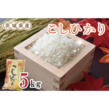 ふるさと納税 EN-5　茨城県産コシヒカリ5kg（令和5年産）※離島への配送不可 茨城県水戸市