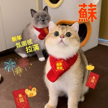 🔥臺灣出貨🔥貓咪狗狗圍脖新年寵物配飾裝飾圍巾紅色可愛毛線保暖針織貓咪圍脖 貓咪衣服秋冬保暖可愛背心衛衣貓貓幼貓德文