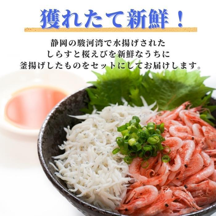 海鮮福袋 駿河湾産 釜揚げセット「 釜揚げしらす100g×3 釜揚げ桜えび100g×3」福袋 お試しセット 海鮮セット しらす 桜エビ 焼津 鮮度抜群 送料無料(本州のみ)